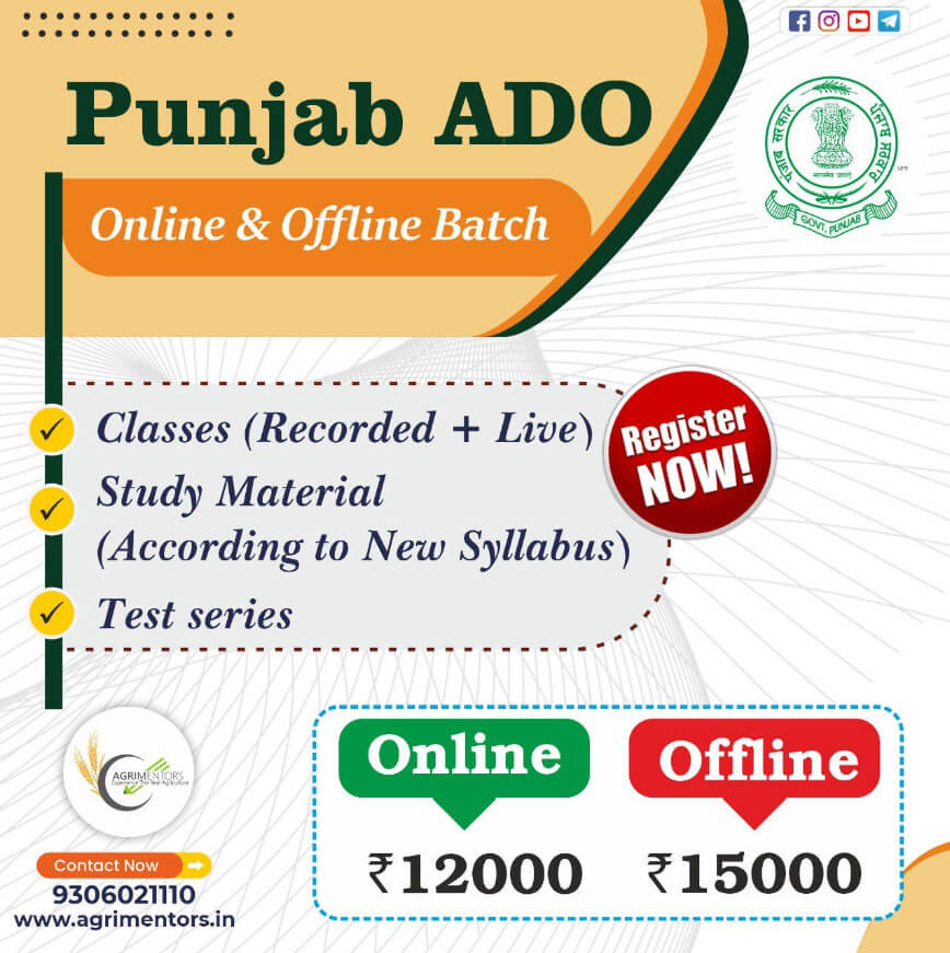 Punjab ADO Online Classes
